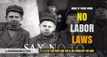 A World Without Labor Laws: Chaos, Exploitation, or Freedom?
