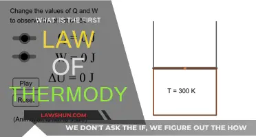 Understanding the First Law of Thermodynamics: Energy Conservation