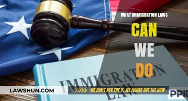 Immigration Laws: What Can We Change?