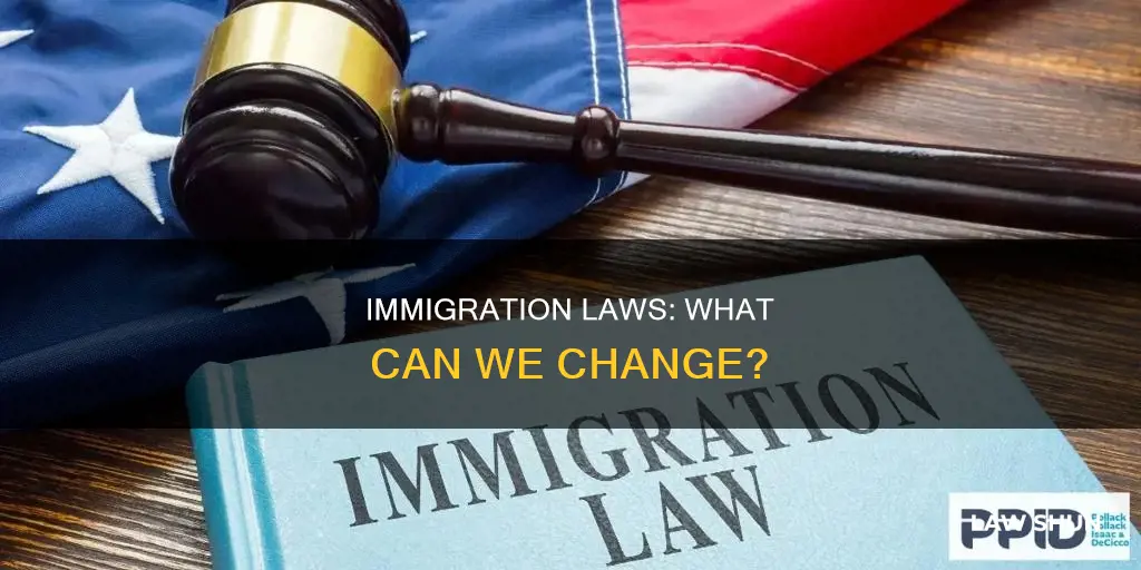 what immigration laws can we do