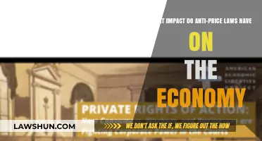 Anti-Price Laws: Economic Effects and Market Stability Explored