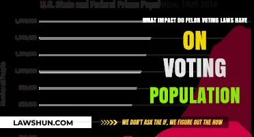 Felon Voting Laws: Shaping Democracy's Reach and Electoral Outcomes