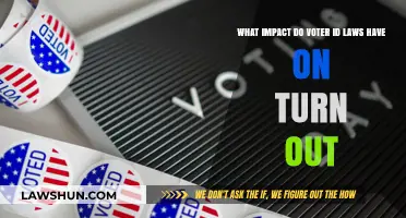 Voter ID Laws: Boosting Security or Suppressing Turnout?
