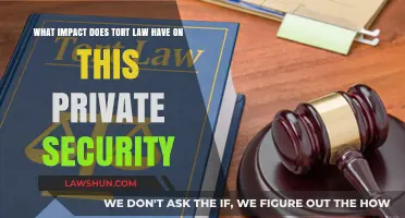 Tort Law's Role in Shaping Private Security Practices and Accountability
