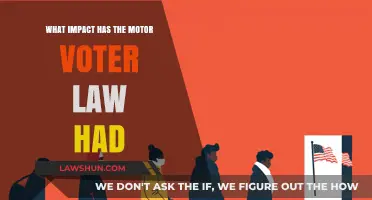 Motor Voter Law: Transforming Voter Registration and Civic Engagement Impact