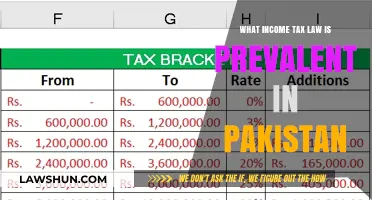 Income Tax Laws: Understanding Pakistan's System