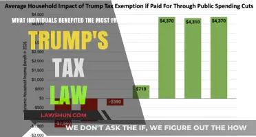 Trump's Tax Cuts: Who Were the Real Winners?