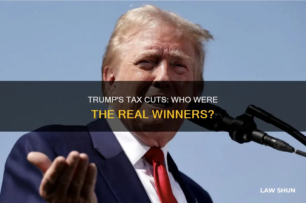 what individuals benefited the most from trump