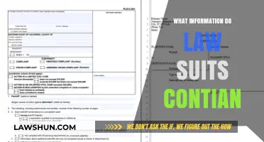 Unveiling Legal Insights: What Information Do Lawsuits Typically Contain?