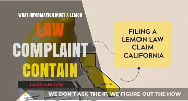 Essential Details to Include in Your Lemon Law Complaint Filing