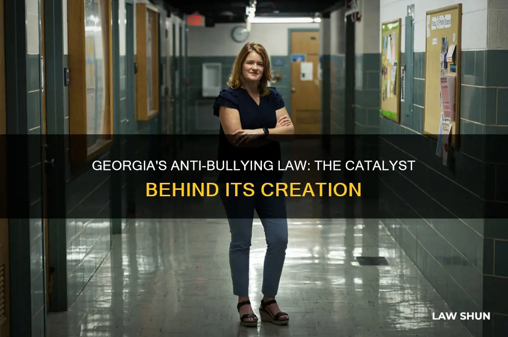 what initiated the anti bullying law in georgia