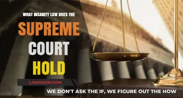Supreme Court's Insanity Defense: Legal Standards and Landmark Cases Explained