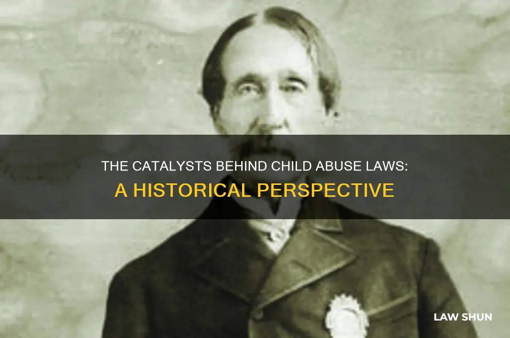 what instagated child abuse laws