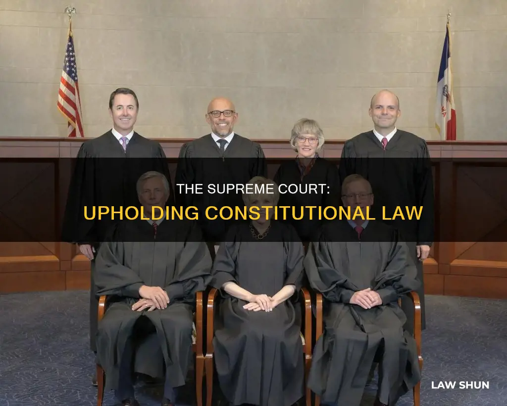 what institution judges whether laws are constitutional or not