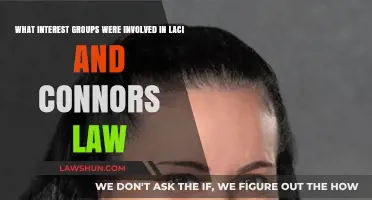 Interest Groups Behind Laci and Connor's Law: Key Players and Impact