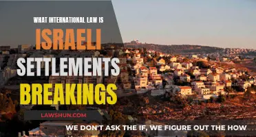 Israeli Settlements: Breaking International Law?