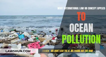 International Law and Ocean Pollution: Global Legal Frameworks