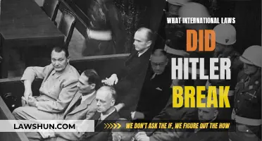 Hitler's Crimes: Breaking International Laws