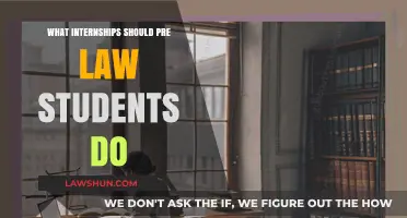 Top Internships for Pre-Law Students to Gain Legal Experience