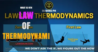 Exploring the Zeroth Law of Thermodynamics: A Foundational Principle
