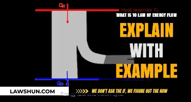 Understanding Energy Flow: 10 Fundamental Laws Explained with Examples