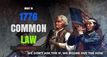The Common Law of 1776: A Historical Overview