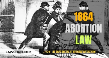 The Archaic Abortion Law of 1864: What You Need to Know