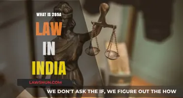 Understanding India's Strict Anti-Defamation Law, Section 295A