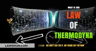 Exploring the Second Law of Thermodynamics: Entropy and the Arrow of Time