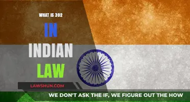 Understanding India's 302 Law: The Punishment for Murder