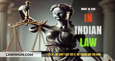 Indian Penal Code 356: The Law on Assault