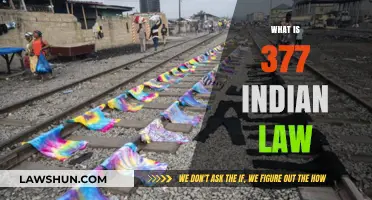 Understanding India's Anti-LGBTQ+ Law
