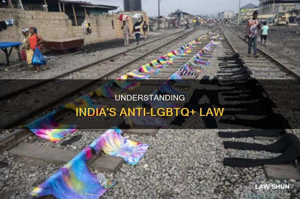 what is 377 indian law