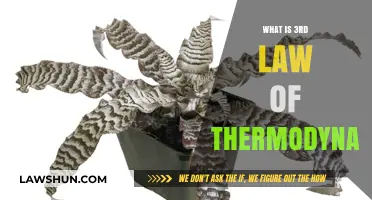 Exploring the Third Law of Thermodynamics: A Deep Dive into Absolute Zero
