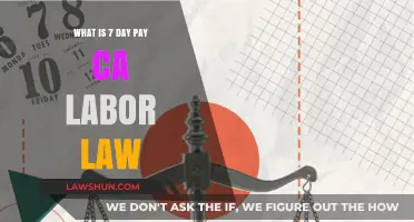 Understanding California's 7-Day Pay Labor Law: What Employers Need to Know