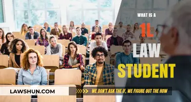 Understanding the Life and Challenges of a First-Year Law Student