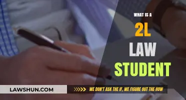 Understanding the Life and Challenges of a Second-Year Law Student