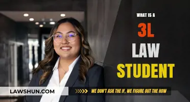 Understanding the Life and Challenges of a 3L Law Student