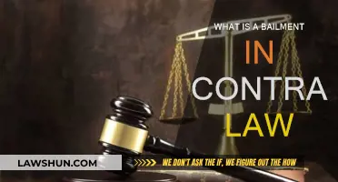 Bailment Basics: Contract Law Explained
