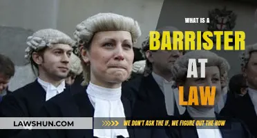 Understanding the Role of a Barrister at Law: A Comprehensive Guide