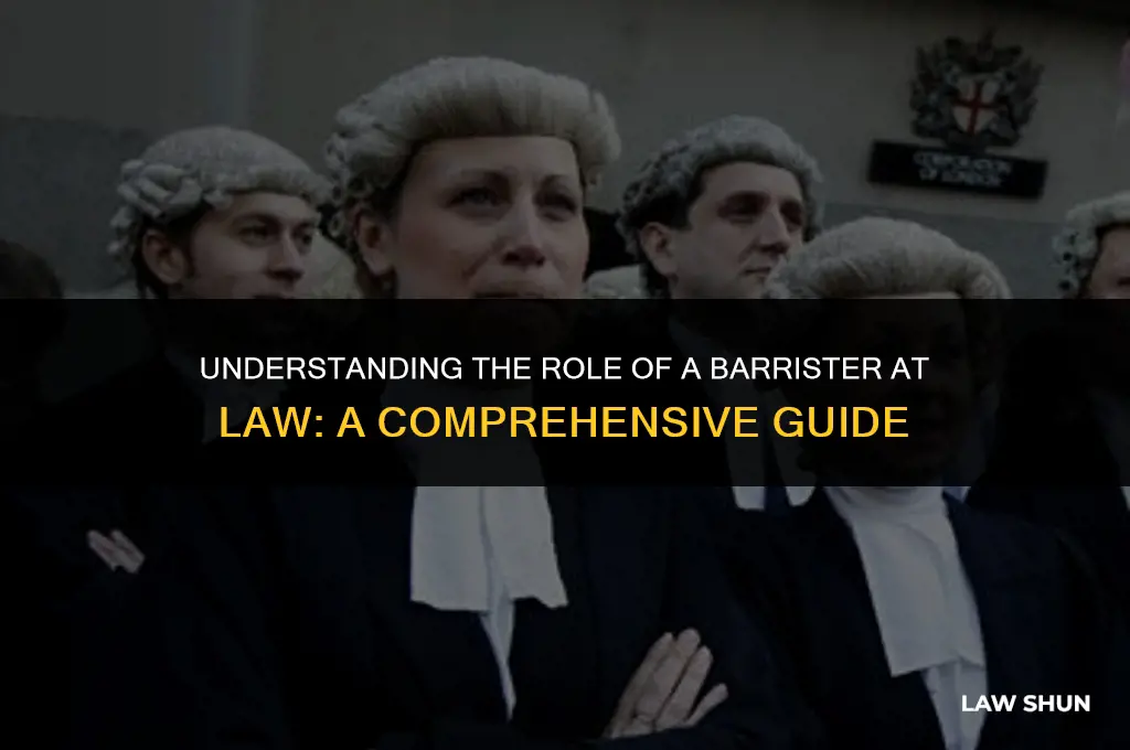 what is a barrister at law