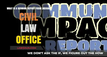 Understanding Indiana's Biennial Report: Civil Law Office Requirements Explained