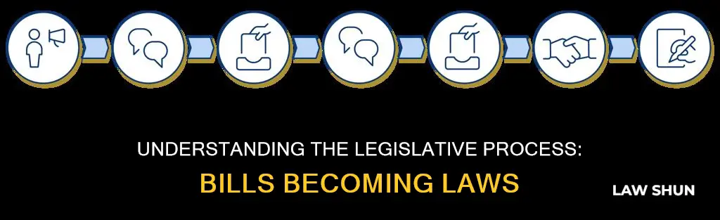 what is a bill called before it becomes law