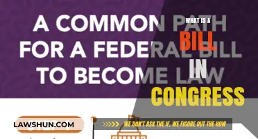 Understanding Congressional Bills: A Beginner's Guide to Legislation