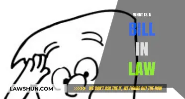 Understanding the Fundamentals: What Constitutes a Bill in Law?