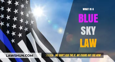 Understanding Blue Sky Laws: A Guide to State Securities Regulations