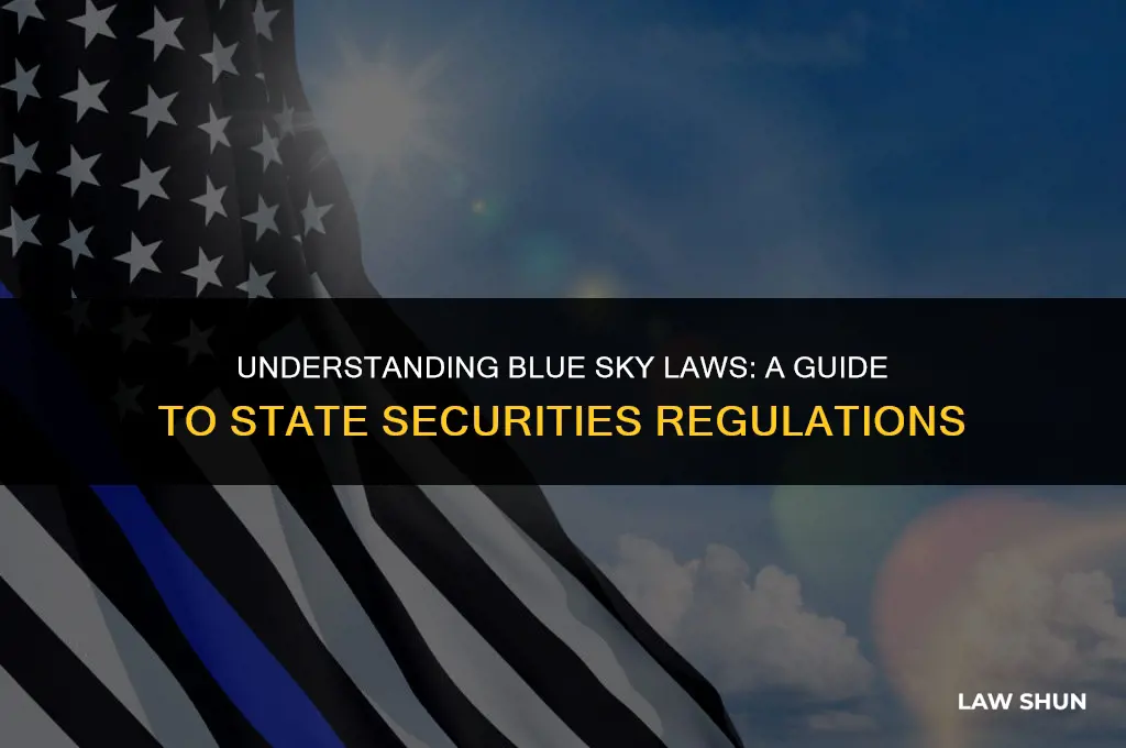 what is a blue sky law