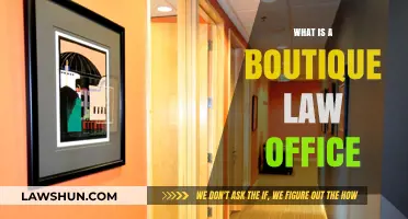 Understanding Boutique Law Offices: Specialized Legal Services for Unique Client Needs