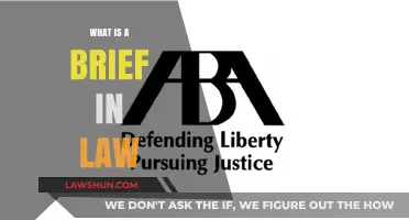 Understanding Legal Briefs: A Comprehensive Guide for Beginners