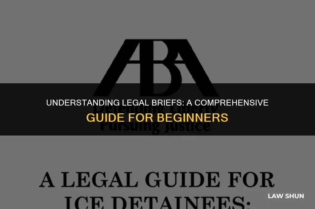 what is a brief in law